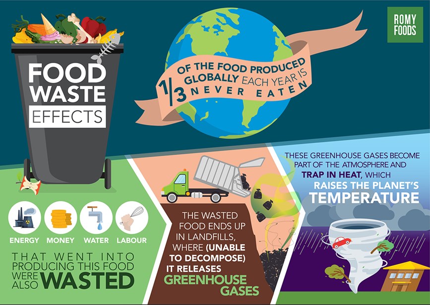 Article Defining the Issue of Food Waste | Romy Foods